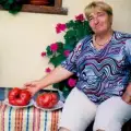 Мария Кехайова от Банско отгледа домати гиганти