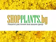 Магазин за градински растения Шоп Плантс