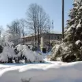 Кметството заринато от сняг