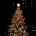Коледната елха в Банско грейва на 5 декември