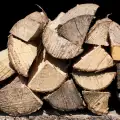 Спипаха рецидивисти, системно секли дърва в Банско и Разлог