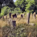 Разширяват гробищния парк на град Банско
