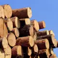Задържаха 8 куб. м. незаконна дървесина в Разлог