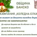 Кампания Коледна елха спасява дръвчета в Банско