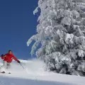 Банско стана домакин на състезание на ски учители