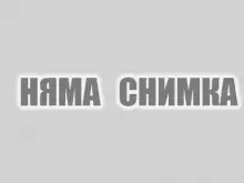 Община Пирдоп