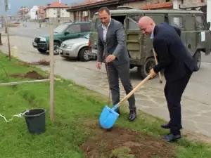 Кметът на Банско лично сади дръвчета в общината