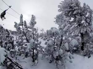 Банкери от цяла Европа карат ски в Банско