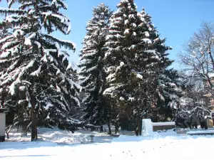 17 мъже скачаха за кръста в Разлог