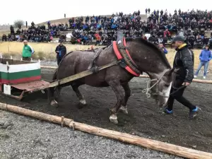 Бачево отпразнува Тодоровден с характерните конни състезания