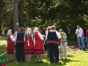 Добринище отбеляза Илинденско-Преображенското въстание