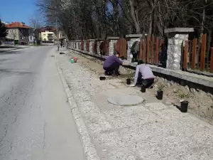 Започнаха дейностите по пролетното зацветяване в община Банско