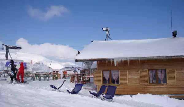В Банско условията са подходящи за ски