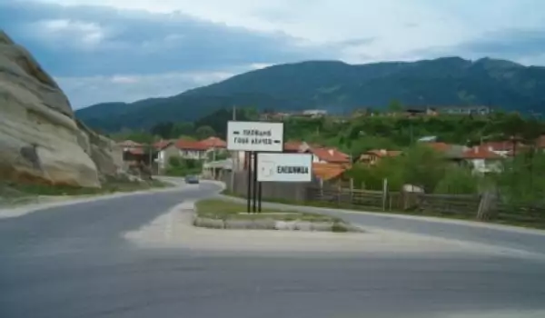 Село Елешница