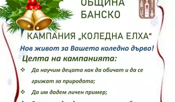 Кампания Коледна елха спасява дръвчета в Банско