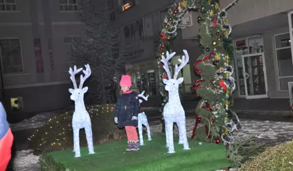 Коледните светлини в Разлог ще грейнат на 7 декември