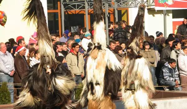 95 кукера и 412 облечени в носии жители участваха в кукерския фестивал в Разлог
