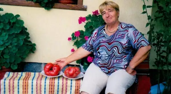 Мария Кехайова от Банско отгледа домати гиганти