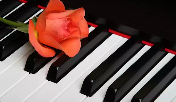 Пиано с роза