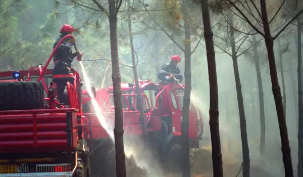 Огнеборците се справиха с пожара в Гостун, община Банско