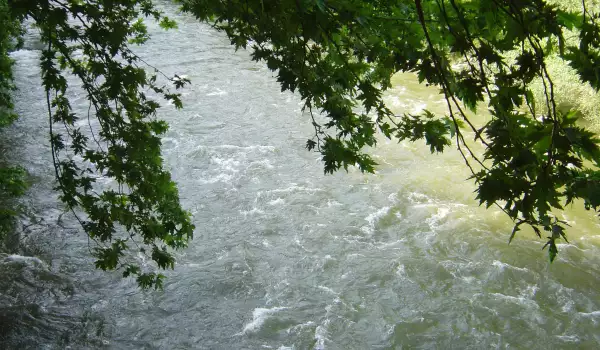 Река Глазне излезе от коритото си и наводни Банско