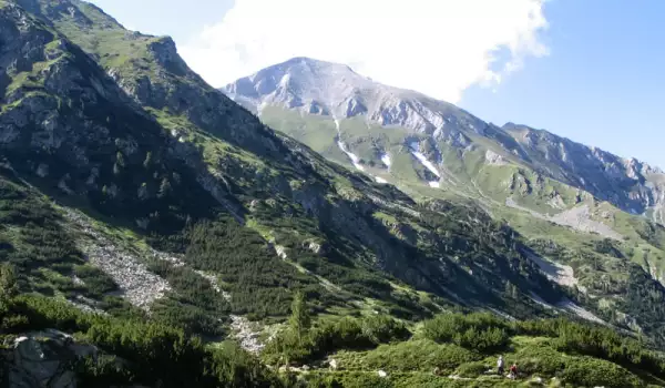 Парк Пирин целият под закрила на ЮНЕСКО, с изключение на ски - зоните