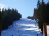 Надпревара за купа Добринище