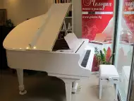 Нов бял роял SAMICK - пиано магазин Мелодия