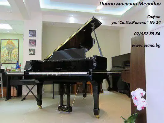 2. Снимка на МЕЛОДИЯ - 25 г. магазин за пиана и рояли