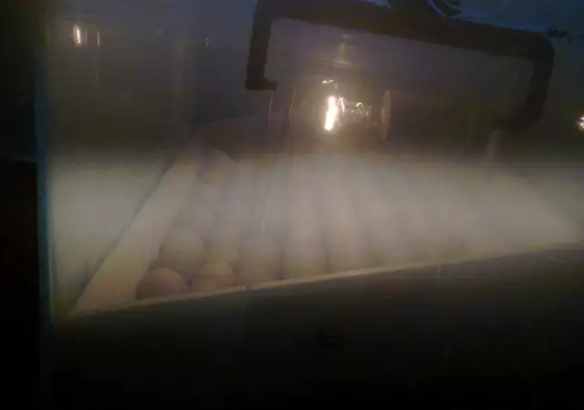 6. Снимка на Инкубатори директно от производителя.150лв. - за 80 яйца