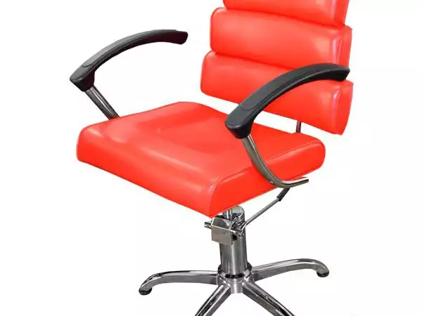1. Снимка на Професионален фризьорски стол