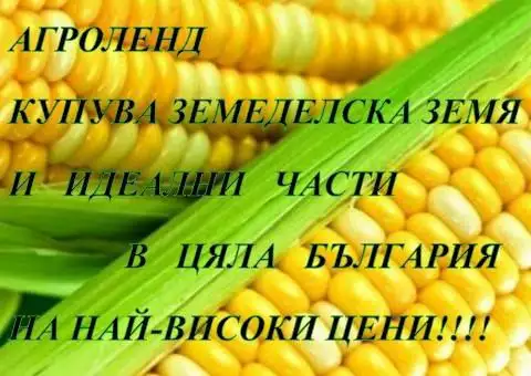 Купуваме ниви в областите Бургас, Сливен, Ямбол и Хасково