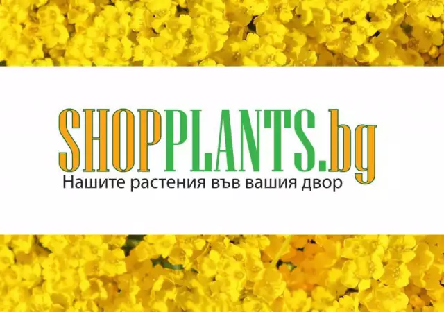 Магазин за градински растения Шоп Плантс