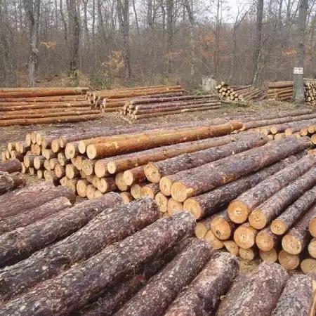 2. Снимка на Продавам фасониран дървен материал от производител