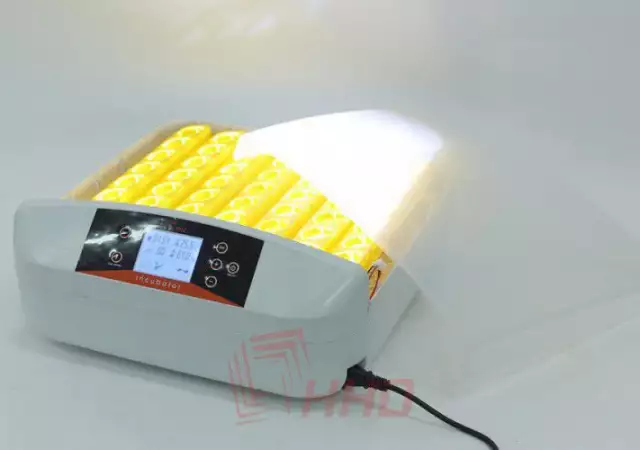 1. Снимка на Автоматичен дигитален инкубатор за 56 яйца