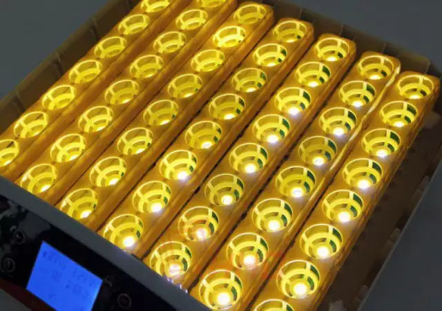 2. Снимка на Автоматичен дигитален инкубатор за 56 яйца