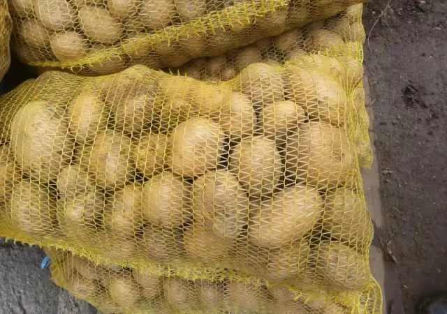 Продавам картофи реколта 2016
