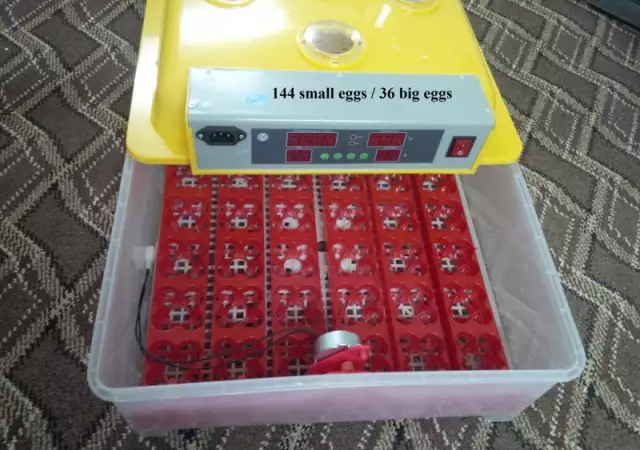 2. Снимка на Автоматични Дигитални инкубатори за Пъдпъдъчи яйца