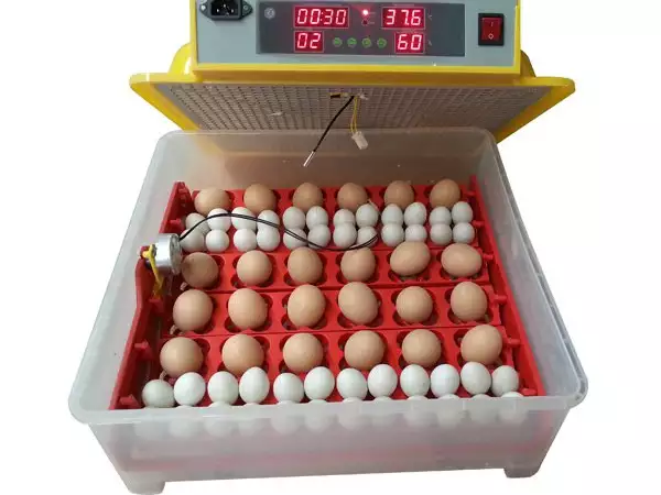 3. Снимка на Автоматични Дигитални инкубатори за Пъдпъдъчи яйца