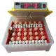 3. Снимка на Автоматични Дигитални инкубатори за Пъдпъдъчи яйца