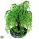 5. Снимка на Сувенир - Декоративно дърво Плачеща върба от мъниста - 38 см